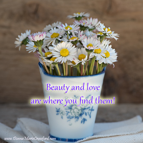 Love and beauty are where you find them!